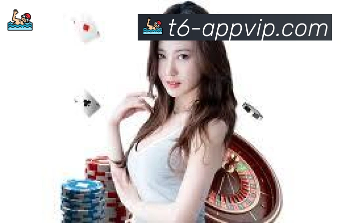 6t体育APP 封面图